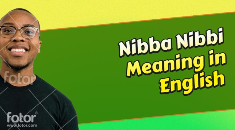 Nibba Nibbi Meaning in English with Example