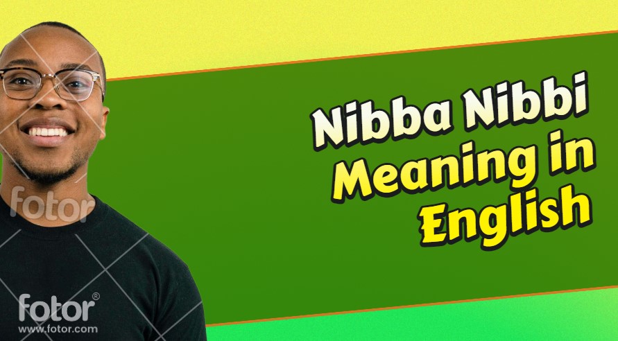 Nibba Nibbi Meaning in English