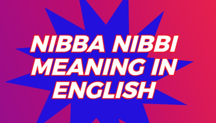 Nibba Nibbi Meaning in English